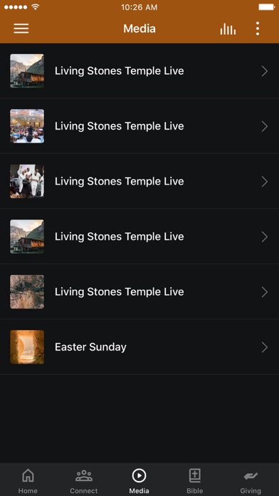 Living Stones Temple Screenshot