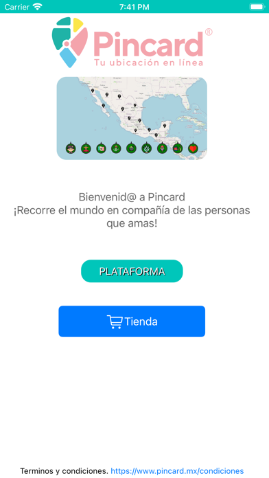 Pincard Screenshot