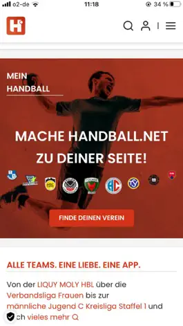 Game screenshot Handball.net mod apk
