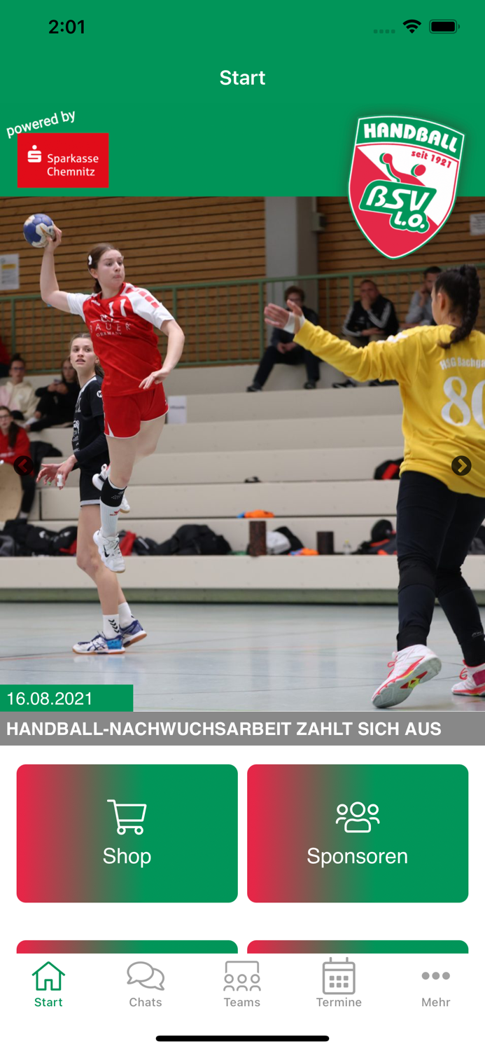 BSV Limbach-Oberfrohna e.V.