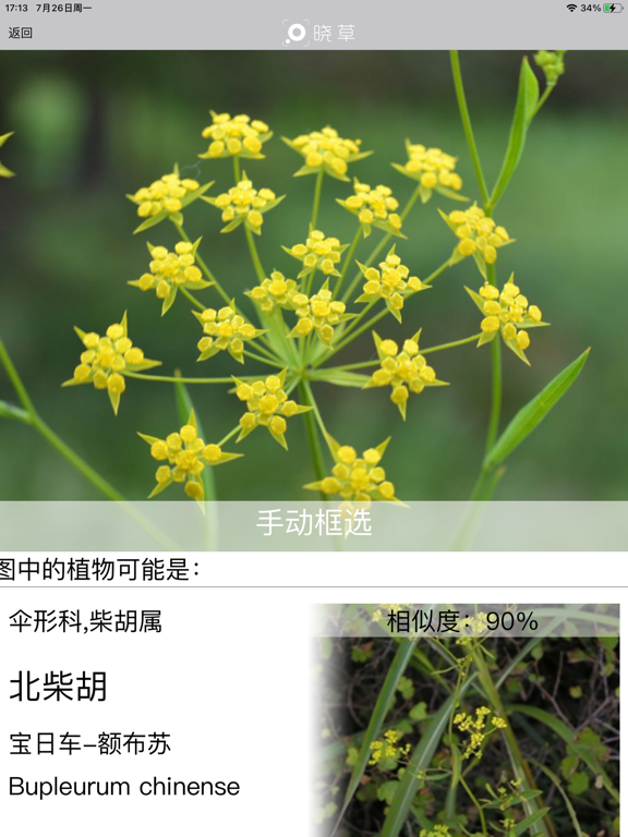 晓草 iPad screenshot