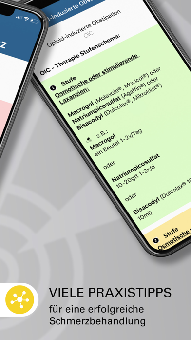 Schmerztherapie Screenshot