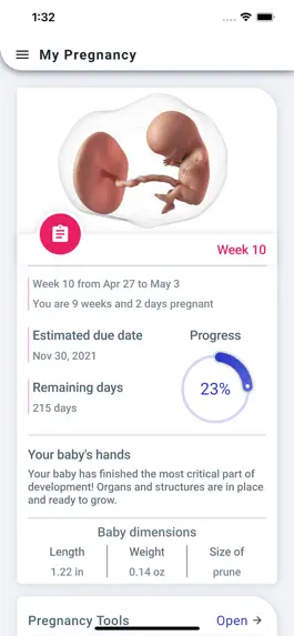 Game screenshot My Pregnancy Tracker mod apk