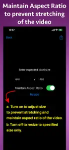 Video Pixel Resizer screenshot #4 for iPhone