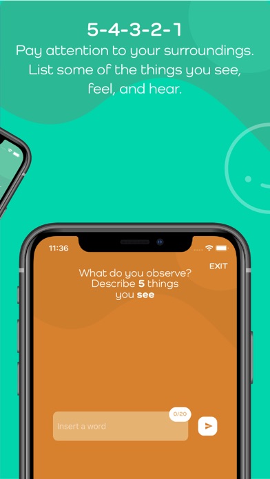 BENDI+ Screenshot