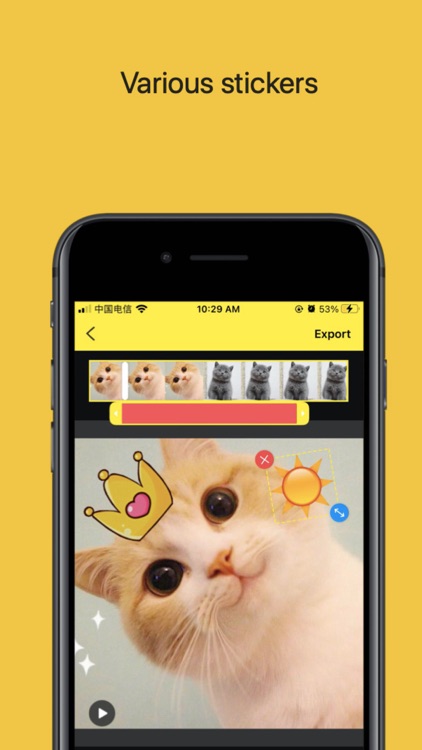 GIF Maker - GIFs Creator