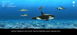 Game screenshot Orca  and marine mammals mod apk