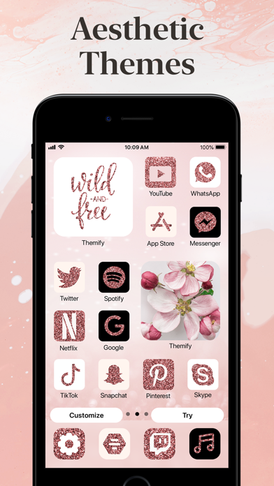 Image of Themify: Icon Themes & Widgets