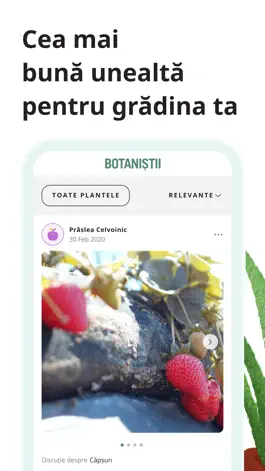 Game screenshot Botanistii mod apk
