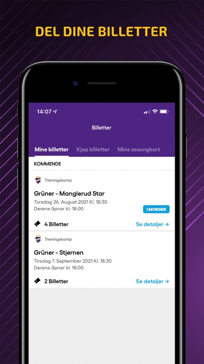 Grüner Ishockey screenshot-4