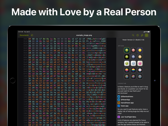 Hexer — Hex File Viewer iPad app afbeelding 7