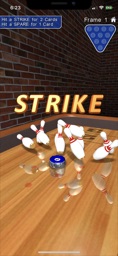 Screenshot of 10 Pin Shuffle Pro Bowling