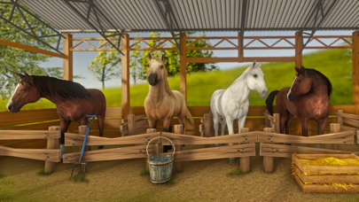 Horse Show Jumping Stunt Screenshot