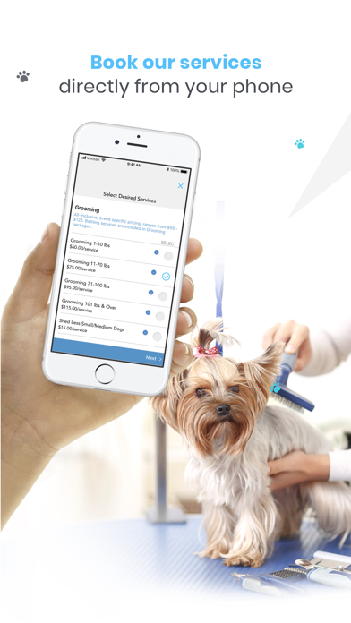 Ready Sit Go Dog Training Screenshot