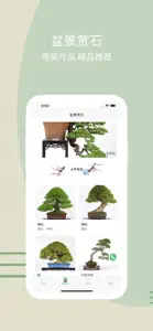 新茂盆景 screenshot #2 for iPhone