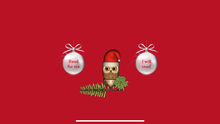 Rocky Owl's Christmas Story