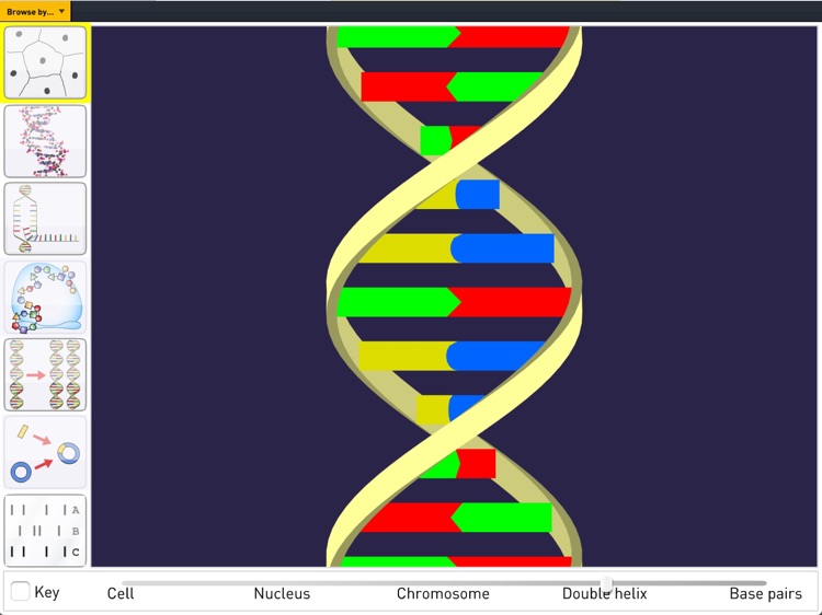 Science SuperLab for Classroom screenshot-6