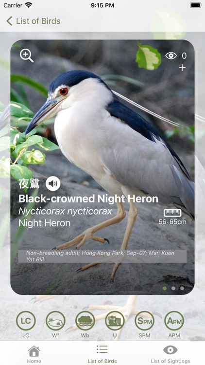 HKBirds: Birds of Hong Kong