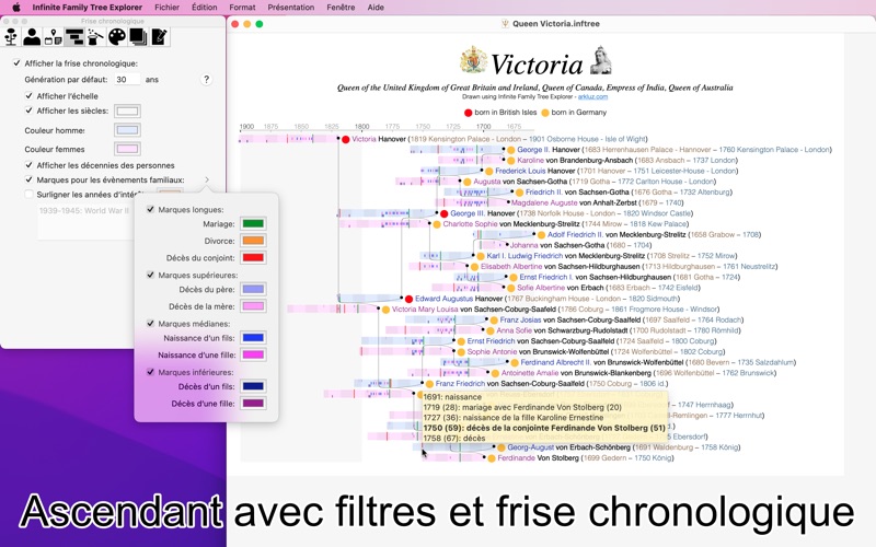 Screenshot #3 pour Infinite Family Tree Explorer