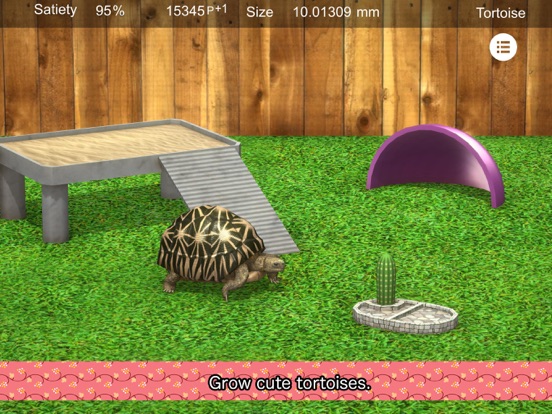 Tortoise to grow relaxedly