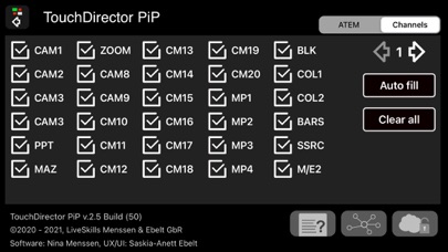 TouchDirector PiP Screenshot