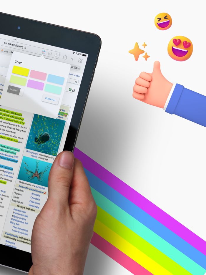 Highlighter - Focus on detail