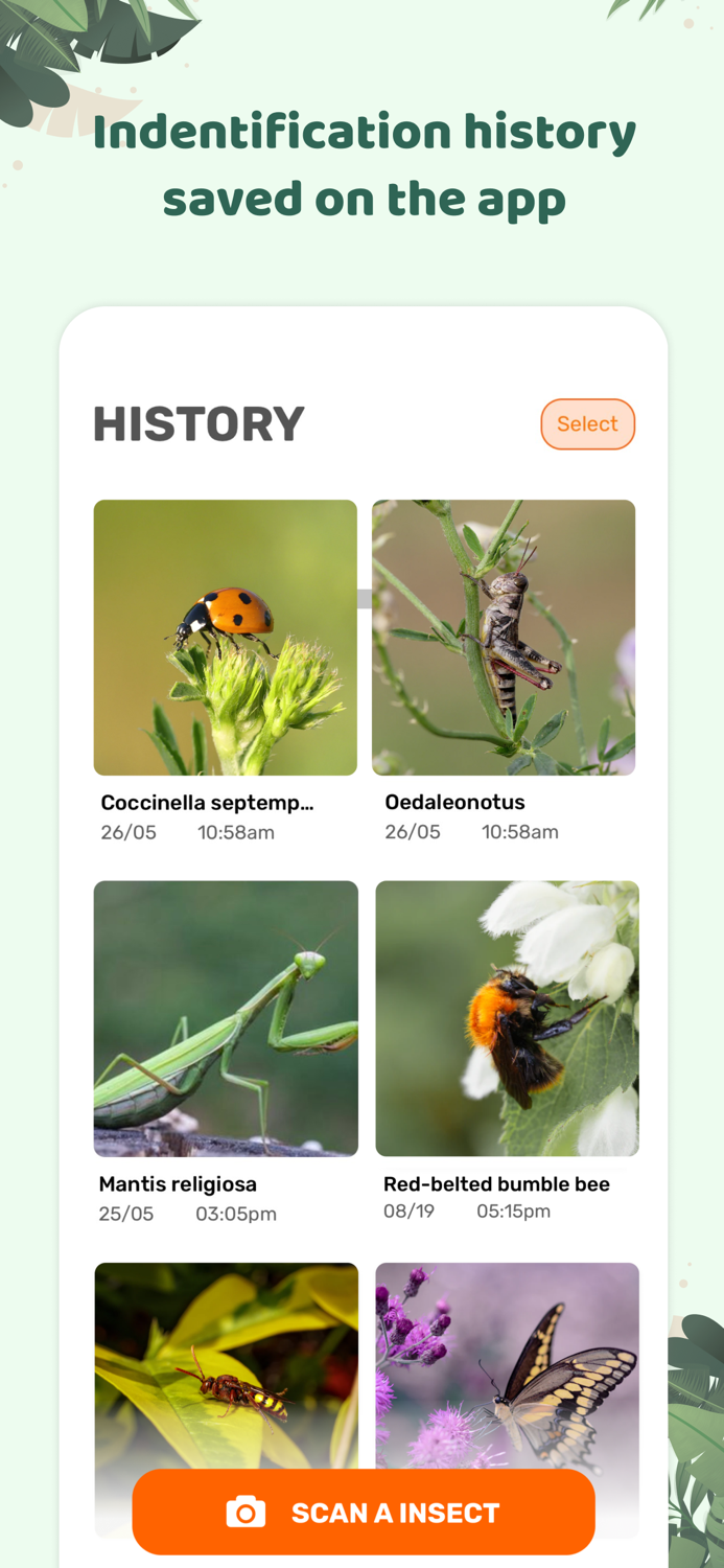 Insect id Bug identifier