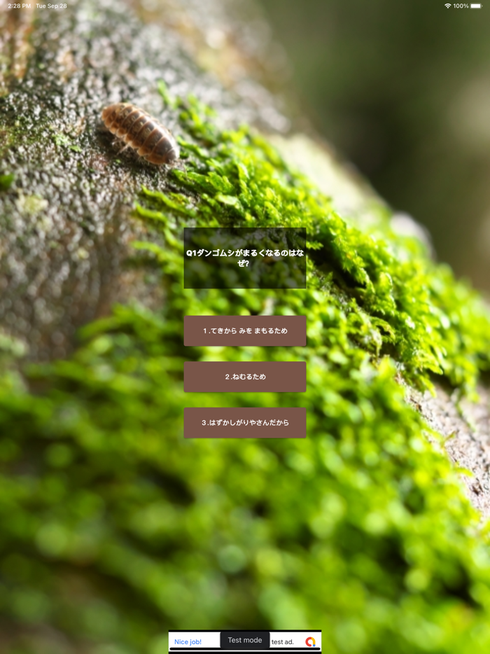 ダンゴムシクイズ