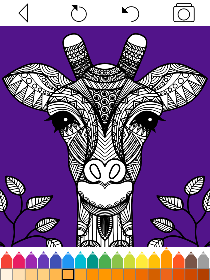 Animal Coloring Book -