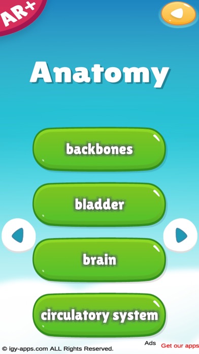 Anatomy AR 4D Screenshot