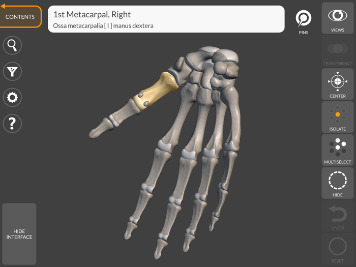 3D Anatomy for the Artist