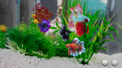 Screenshot #2 pour Betta Fish - Virtual Aquarium