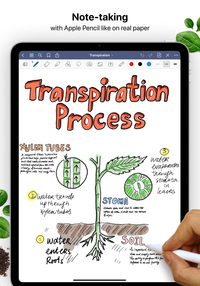 GoodNotes 5 on the App Store