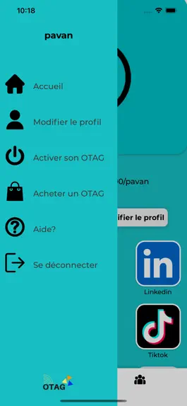 Game screenshot OTAG hack