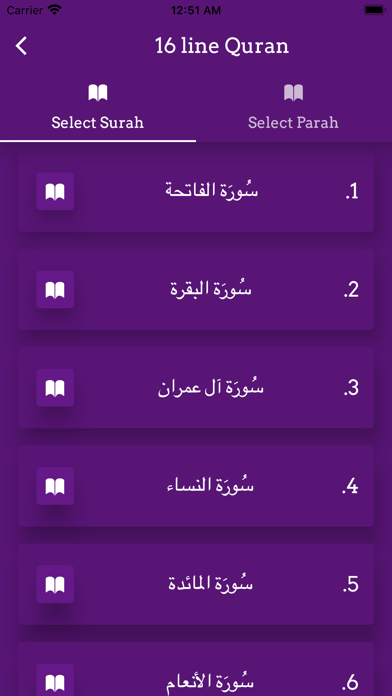 Surah Yaseen Offline Screenshot