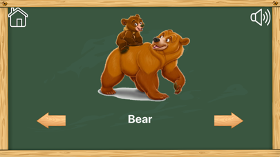 Kids English Spell Riddle Screenshot