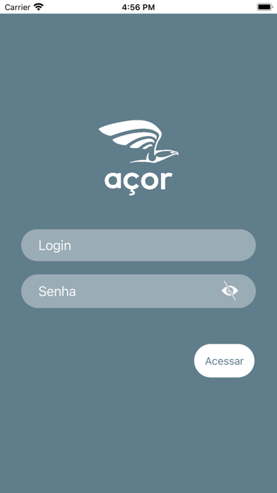 Açor Screenshot