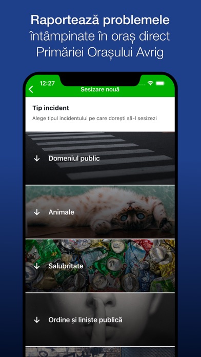Avrig City Screenshot