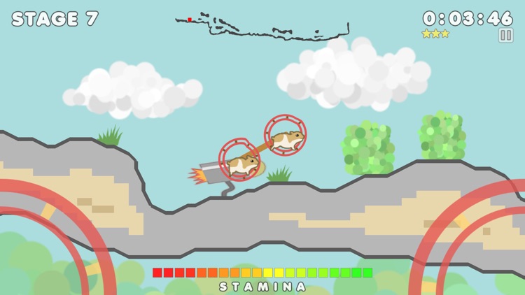 Ham Race screenshot-3