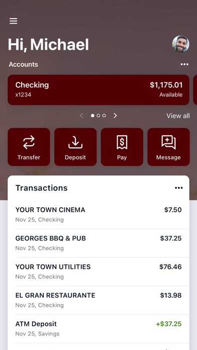 TheBradyBank Screenshot