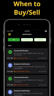 crypto & bitcoin alert iphone screenshot 2