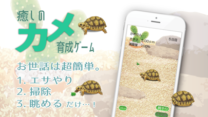 癒しのカメ育成ゲーム screenshot1
