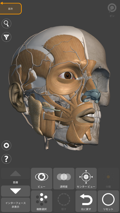 アーティストのための3D解剖学的構造 | バージョンのおすすめ画像5