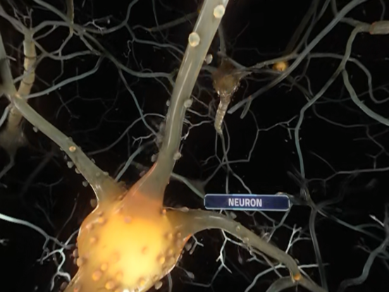 Screenshot #5 pour Random42 VR