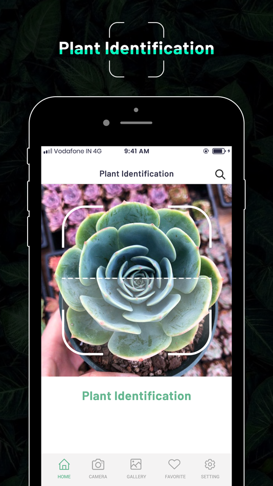 Identify Plant : Flower & Tree - 1.2 - (iOS)