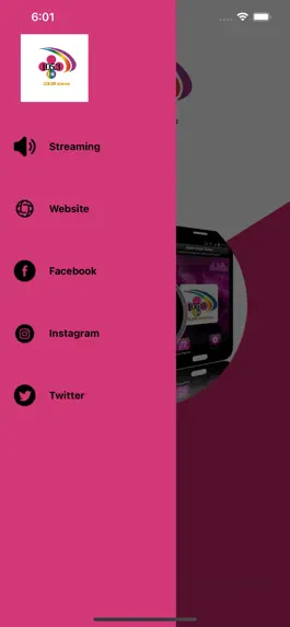 Game screenshot Color Stereo 105.3 FM apk