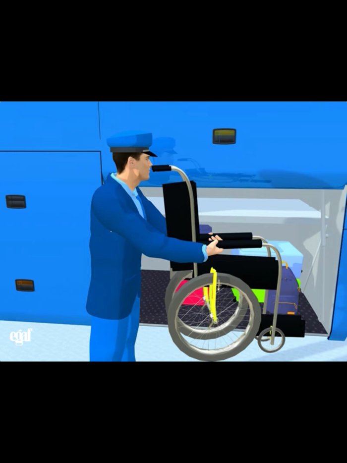 Disabilità bus