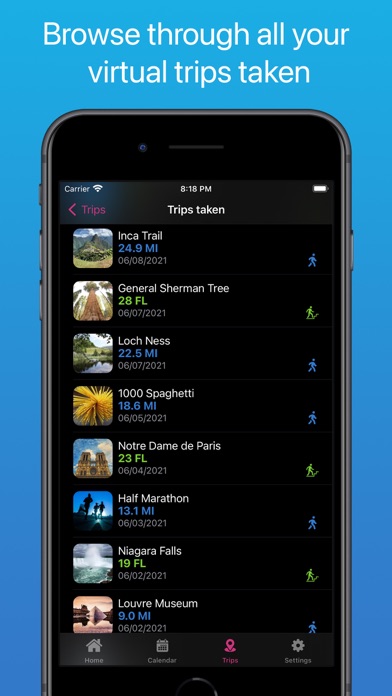 Travelometer Screenshot