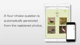 Game screenshot MyCollectionAlbum apk