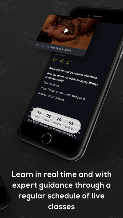 Shibari Study Screenshot
